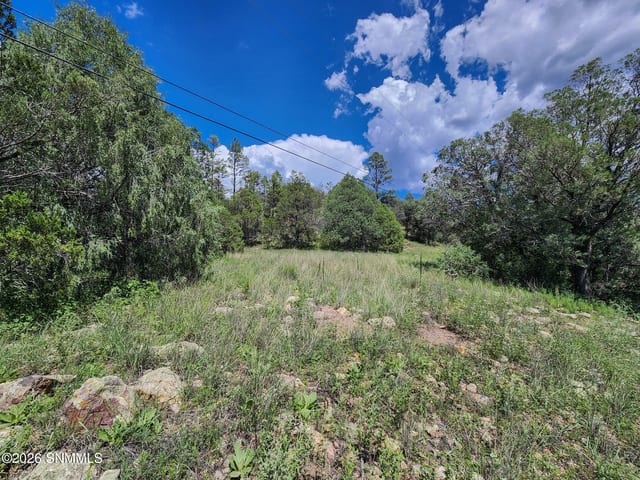 TBD Lot 5 Highway 35, Mimbres, NM 88049 photo 2