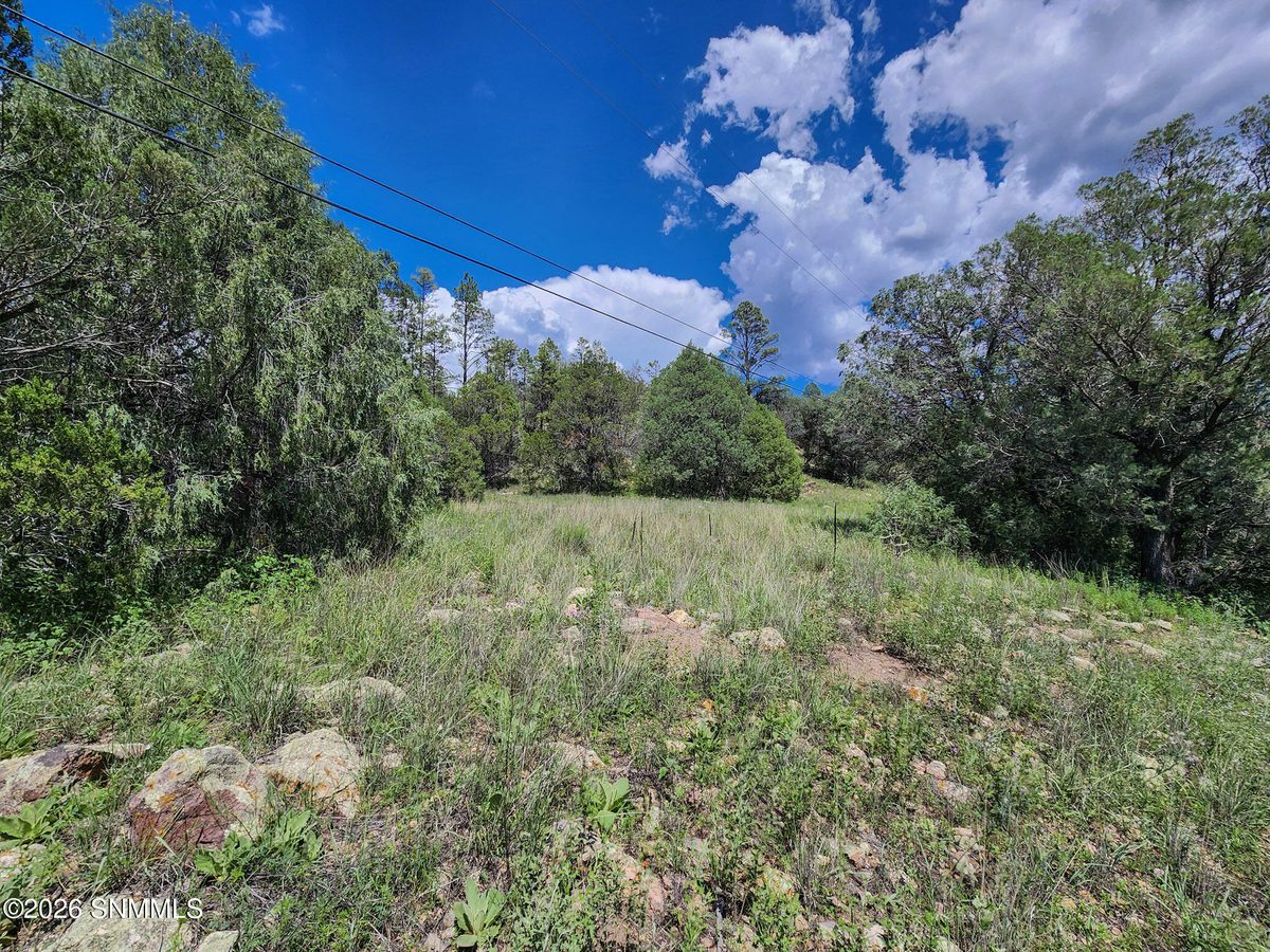 TBD Lot 5 Highway 35, Mimbres, NM 88049 photo 2