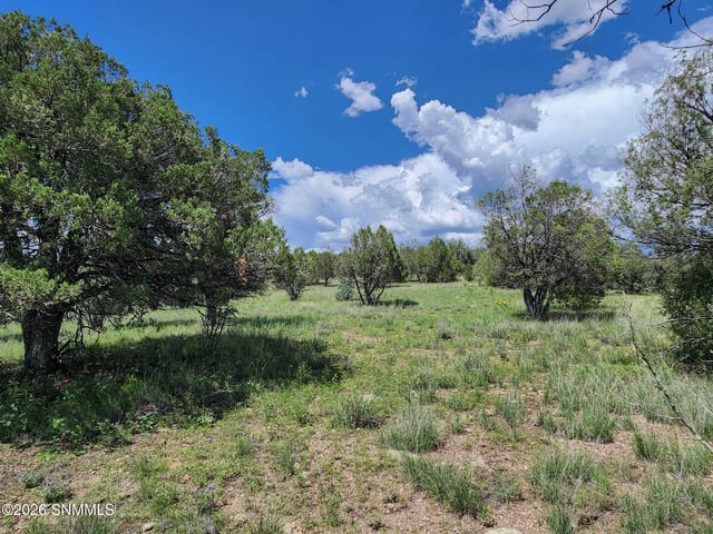 TBD Lot 5 Highway 35, Mimbres, NM 88049 photo 3