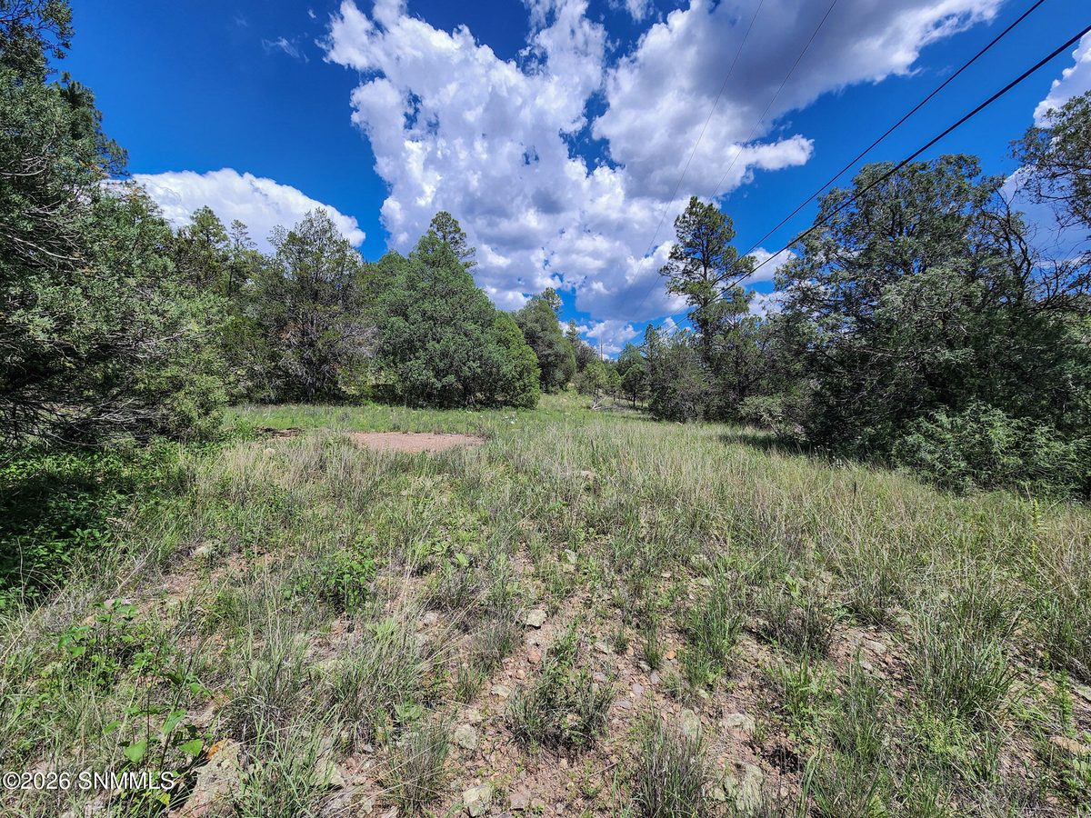 TBD Lot 5 Highway 35, Mimbres, NM 88049 photo 4