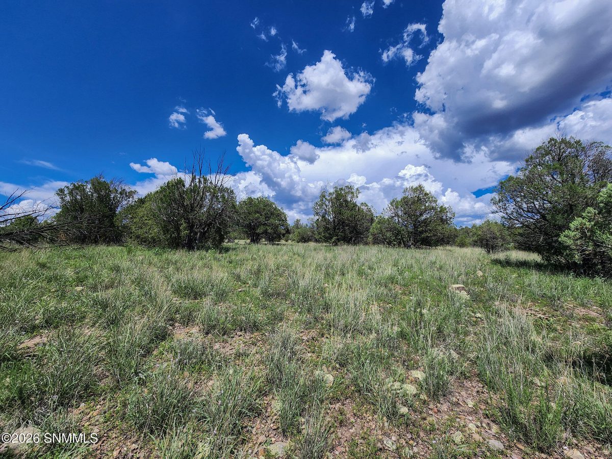 TBD Lot 5 Highway 35, Mimbres, NM 88049 photo 5