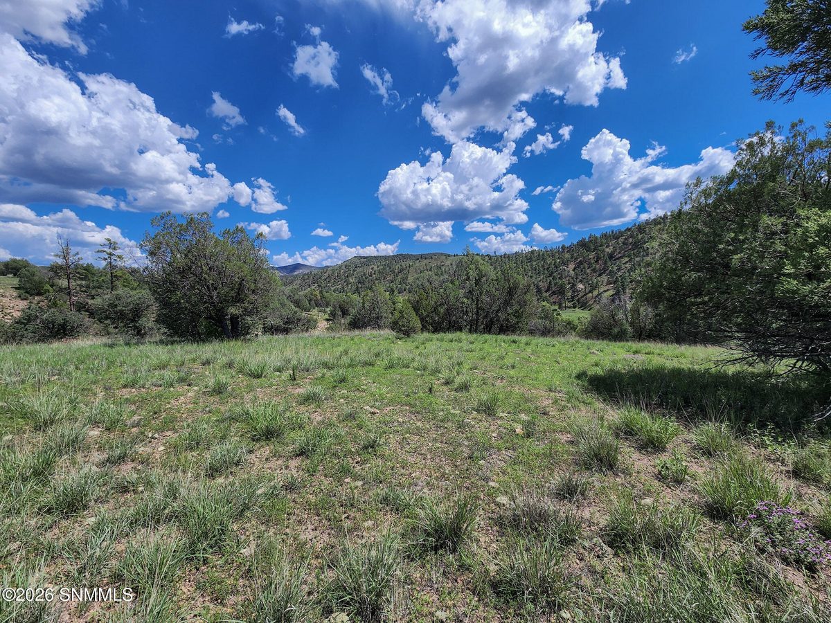 TBD Lot 5 Highway 35, Mimbres, NM 88049 photo 6