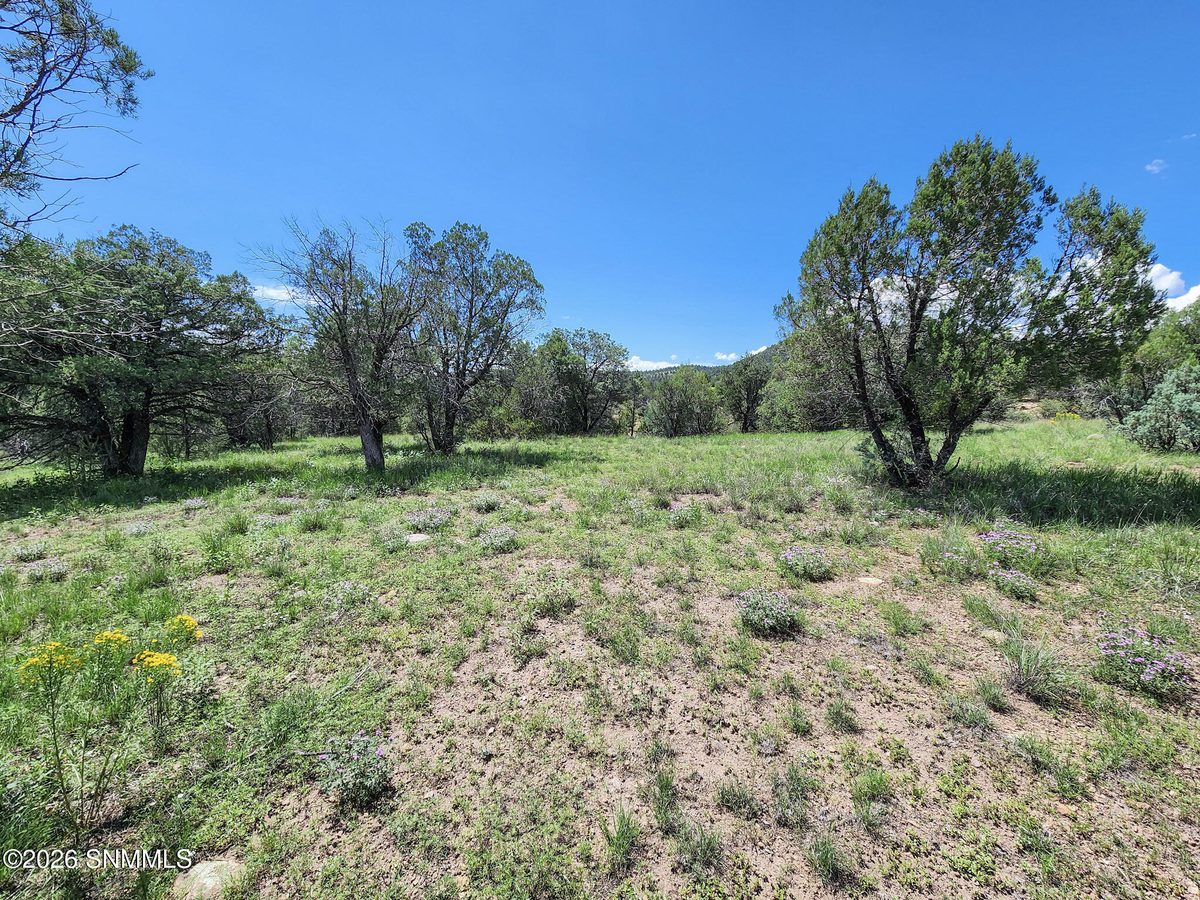 TBD Lot 5 Highway 35, Mimbres, NM 88049 photo 7