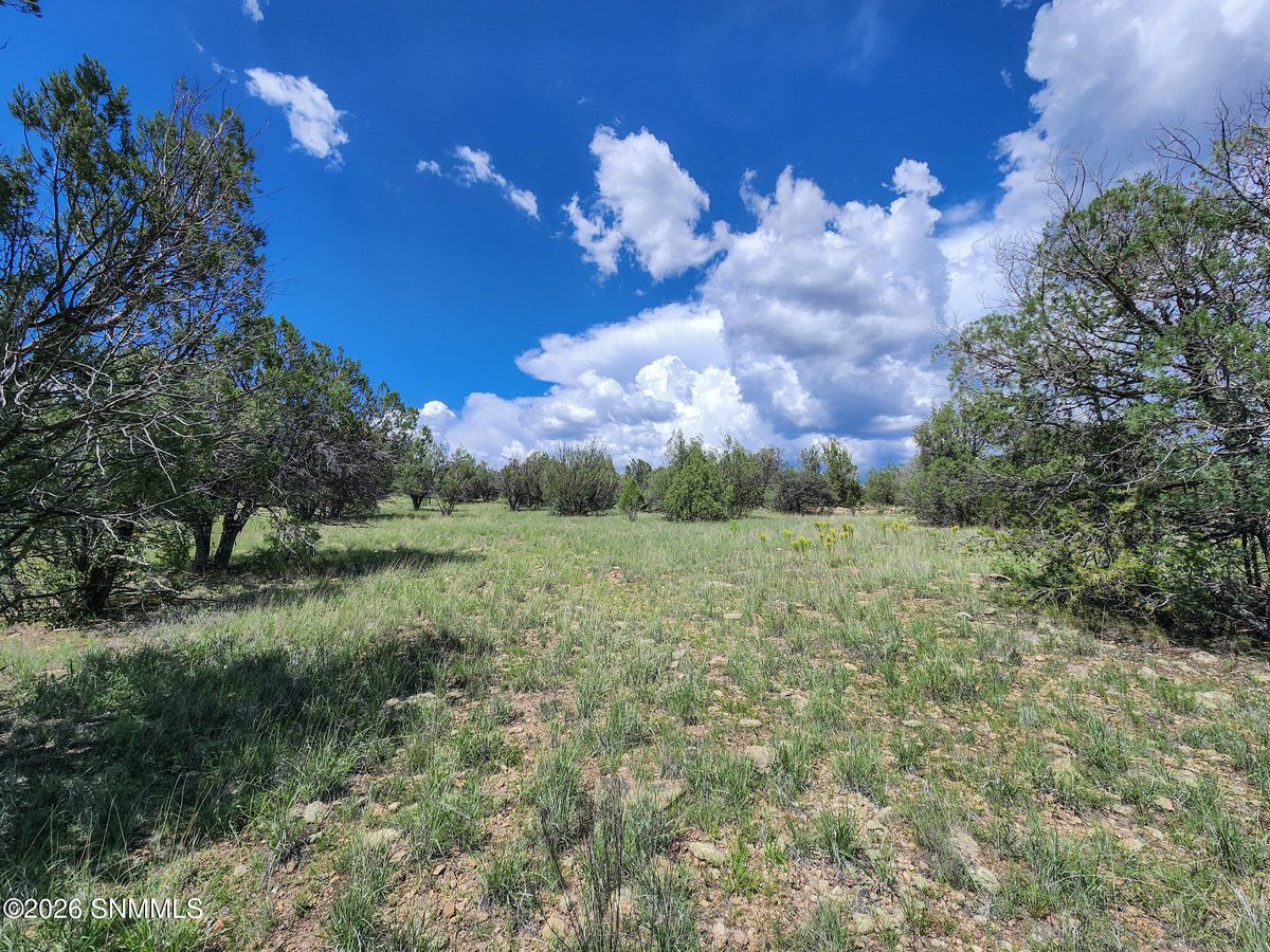 TBD Lot 5 Highway 35, Mimbres, NM 88049 photo 8