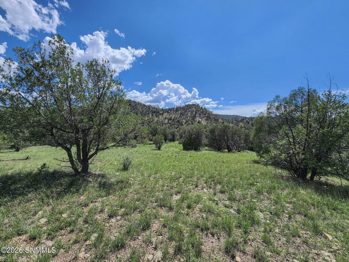 TBD Lot 5 Highway 35, Mimbres, NM 88049 photo 9