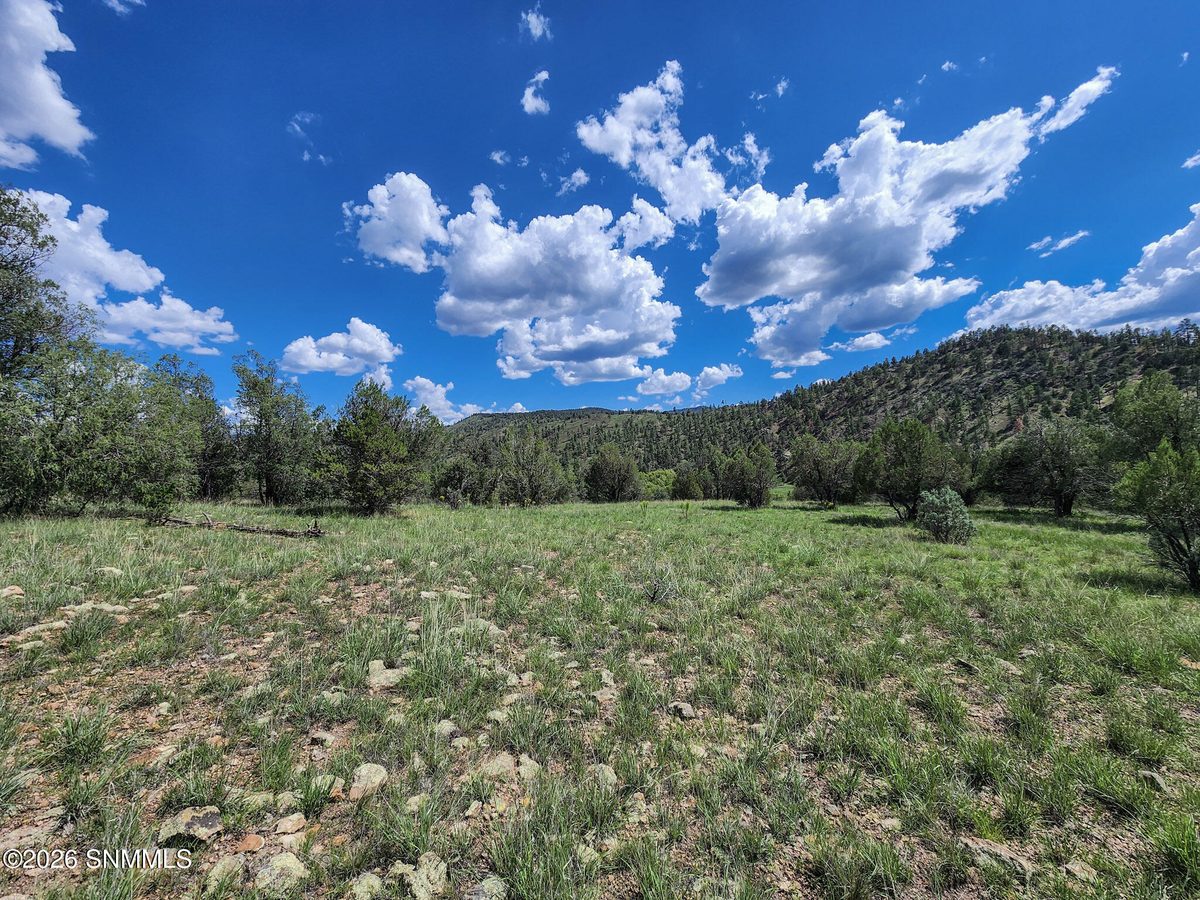 TBD Lot 5 Highway 35, Mimbres, NM 88049 photo 10