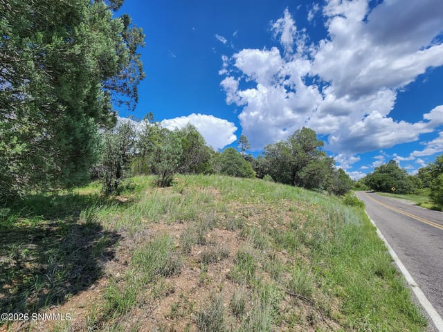 TBD Lot 5 Highway 35, Mimbres, NM vacant land/acreage for sale at $204,000