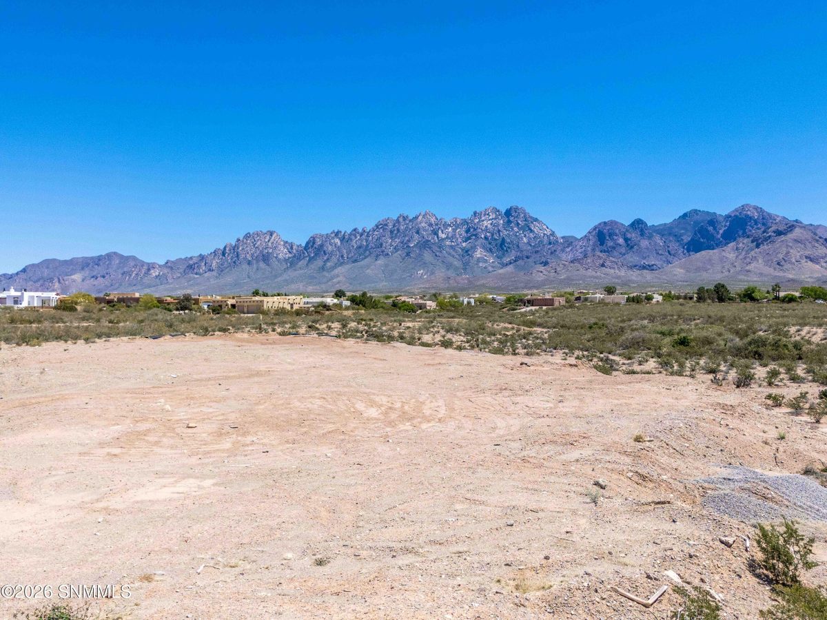 8680 Talavera Avenue, Las Cruces, NM 88011 photo 2
