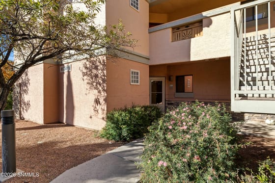 3650 Morning Star Drive #1205, Las Cruces, NM 88011 photo 4