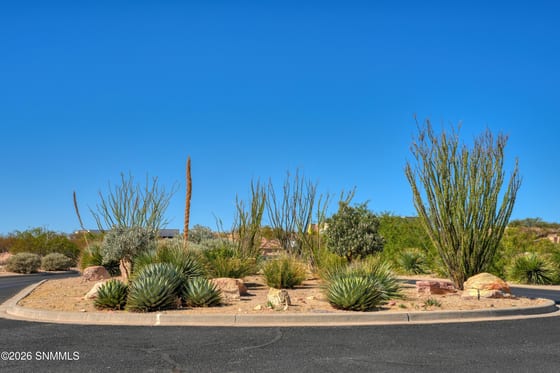 1301 Estancia Real Road, Las Cruces, NM 88007 photo 2