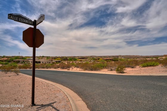 1301 Estancia Real Road, Las Cruces, NM 88007 photo 3