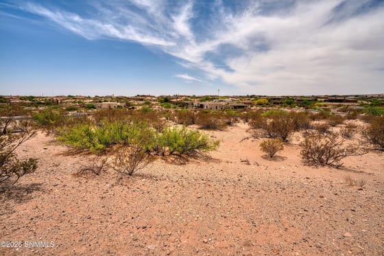1301 Estancia Real Road, Las Cruces, NM 88007 photo 4