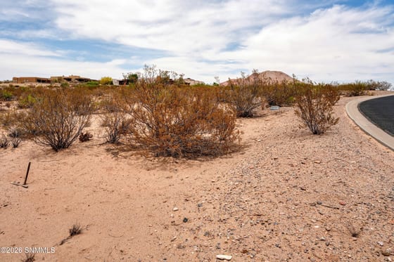 1301 Estancia Real Road, Las Cruces, NM 88007 photo 5