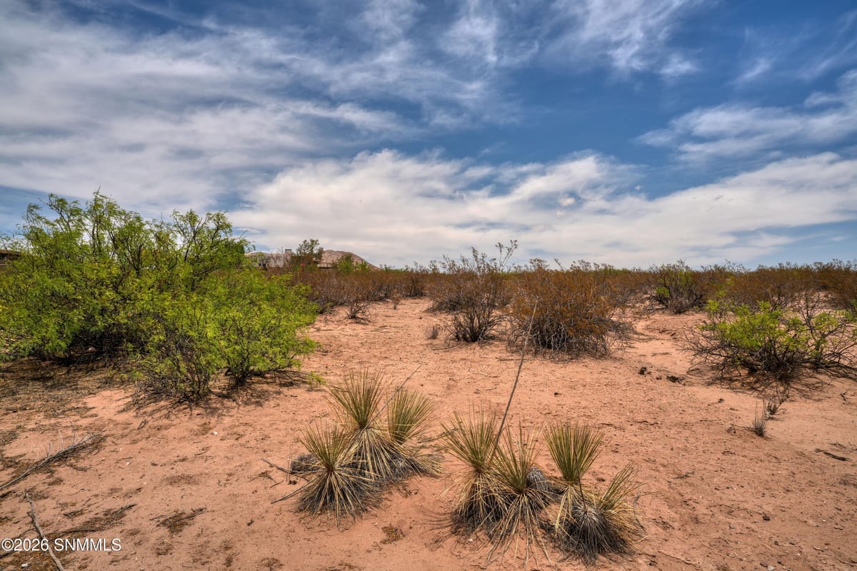 1301 Estancia Real Road, Las Cruces, NM 88007 photo 9