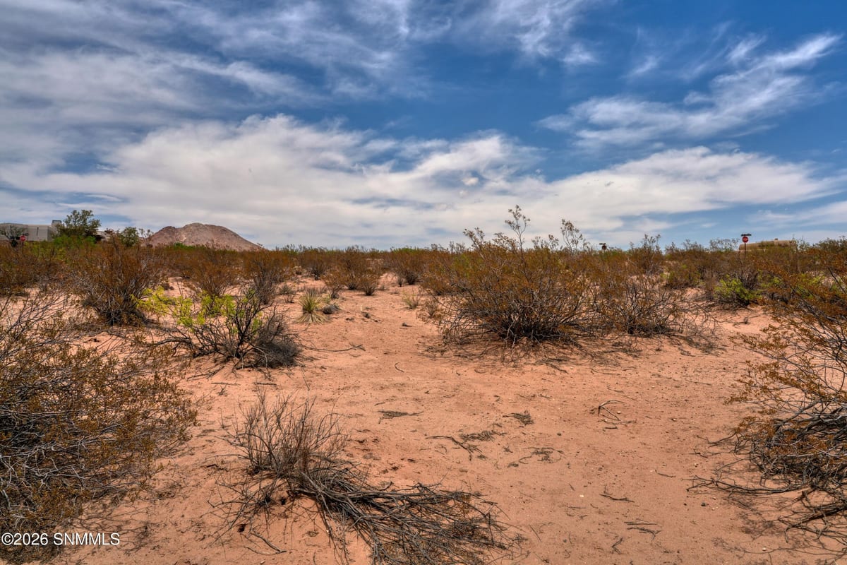 1301 Estancia Real Road, Las Cruces, NM 88007 photo 10