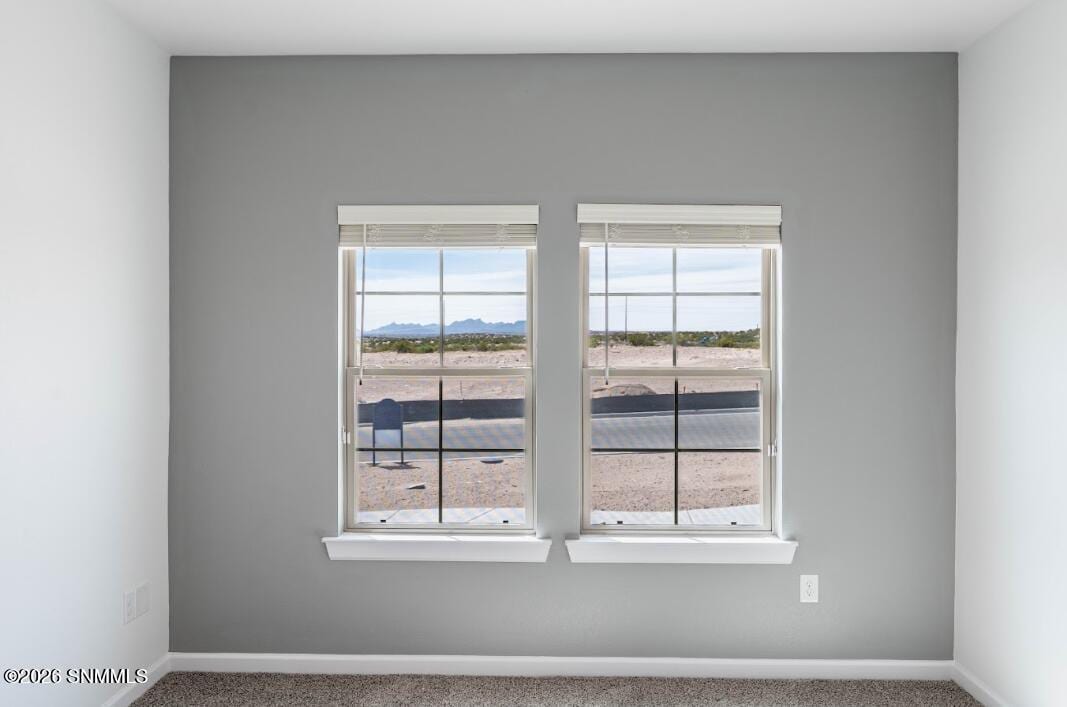 1145 Bronze Hill Avenue, Santa Teresa, NM 88008, foto 9