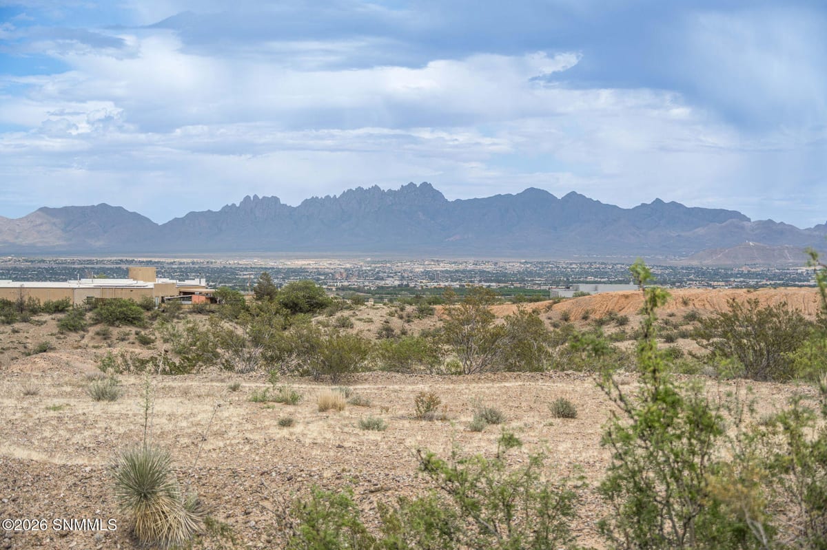 597 Tingo Circle, Las Cruces, NM 88011 photo 1