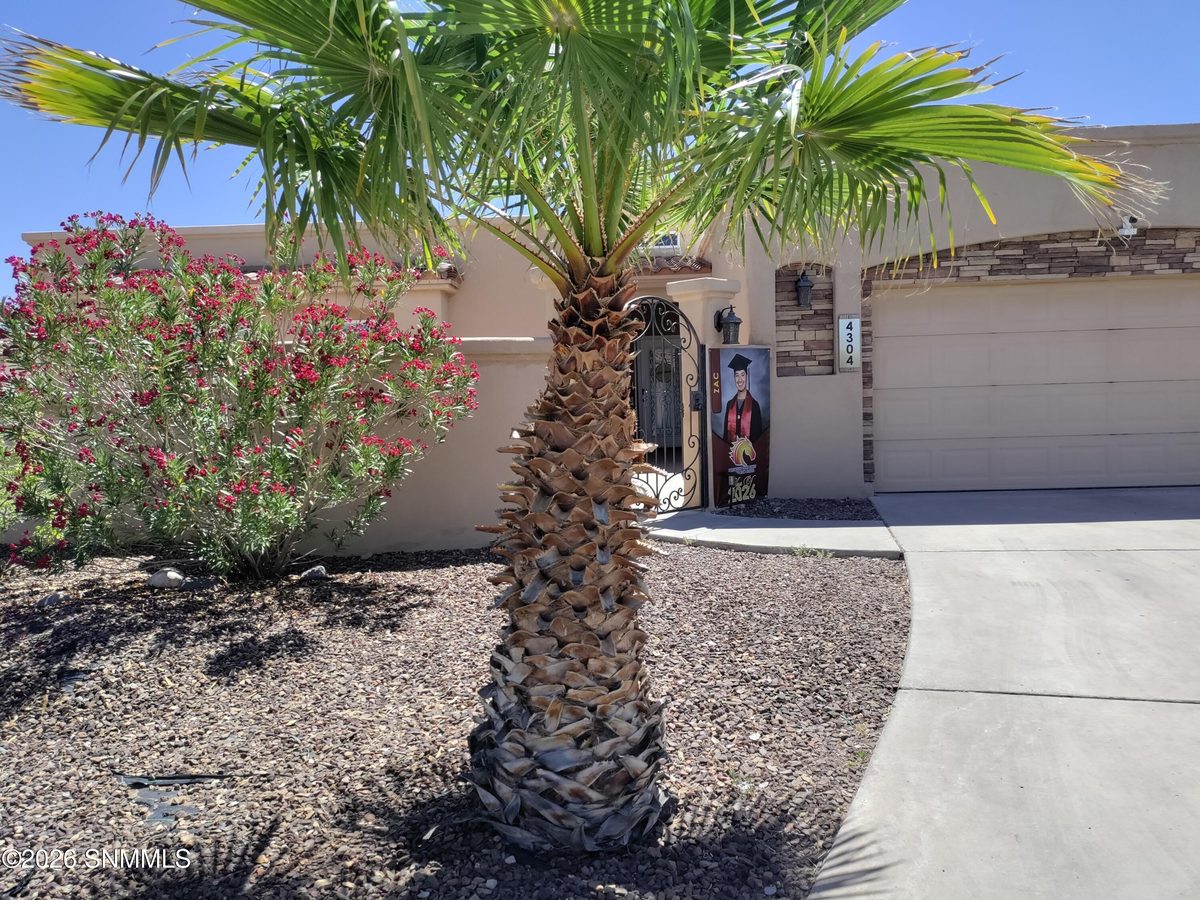 4304 Calle Bonita Lane, Las Cruces, NM 88011, foto 9