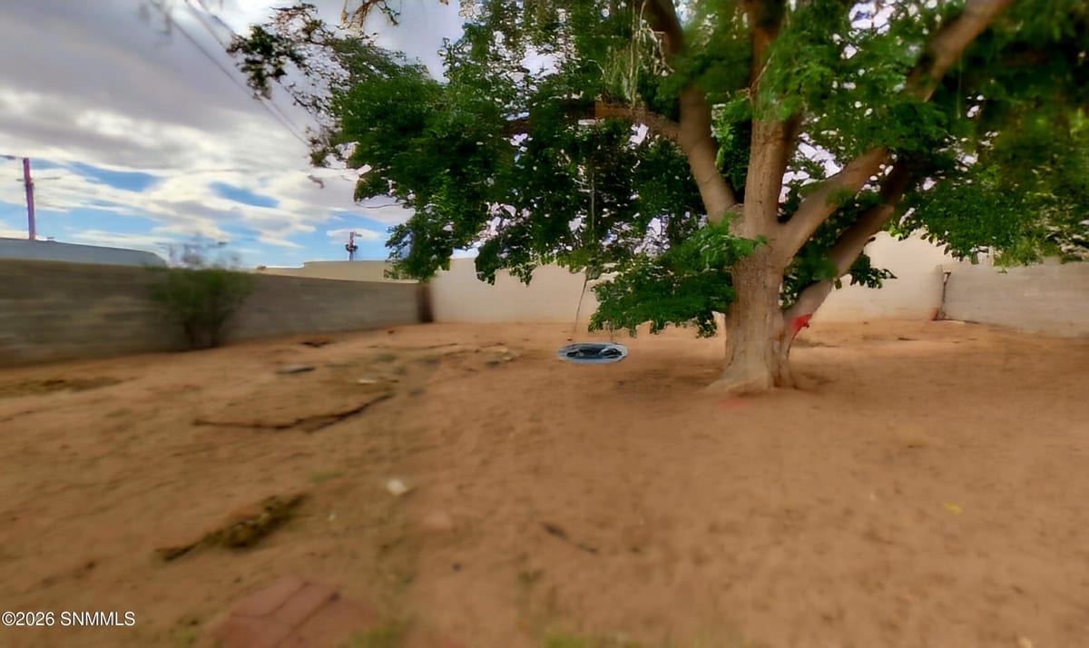 1313 Branson Avenue, Las Cruces, NM 88001 photo 10
