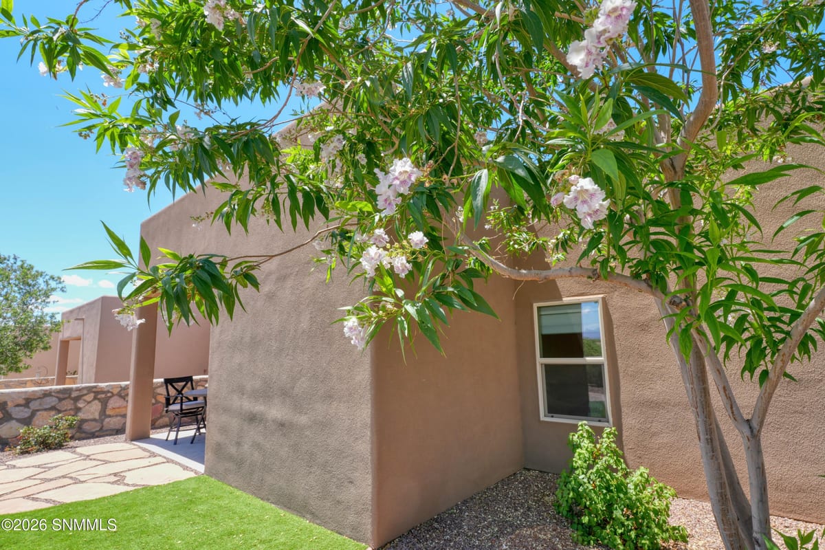 8021 Willow Bloom Circle, Las Cruces, NM 88007, foto 15