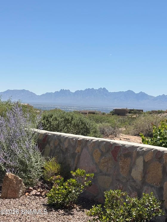 8021 Willow Bloom Circle, Las Cruces, NM 88007 photo 3