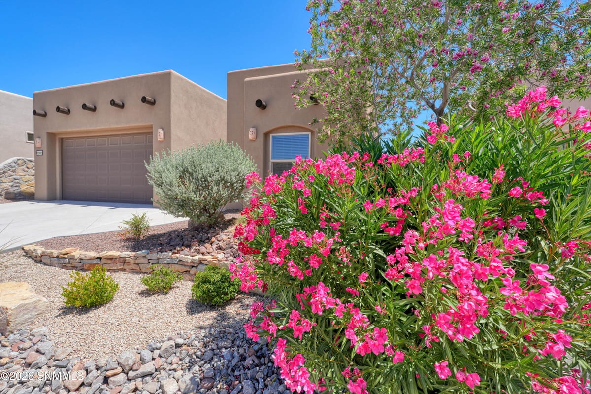 8021 Willow Bloom Circle, Las Cruces, NM 88007, foto 10