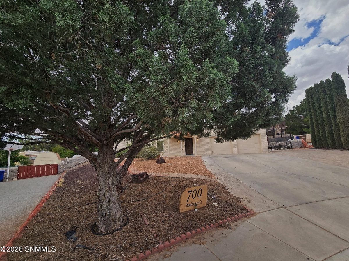 700 Sundown Court, Las Cruces, NM 88011 photo 6