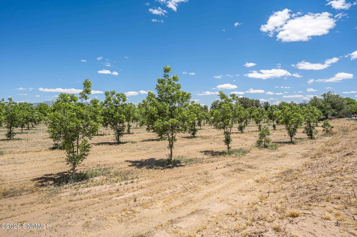 LOT 3 TBD Old River Road, Las Cruces, NM 88005 photo 1