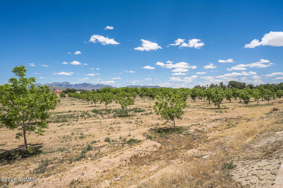 LOT 3 TBD Old River Road, Las Cruces, NM 88005, foto 11
