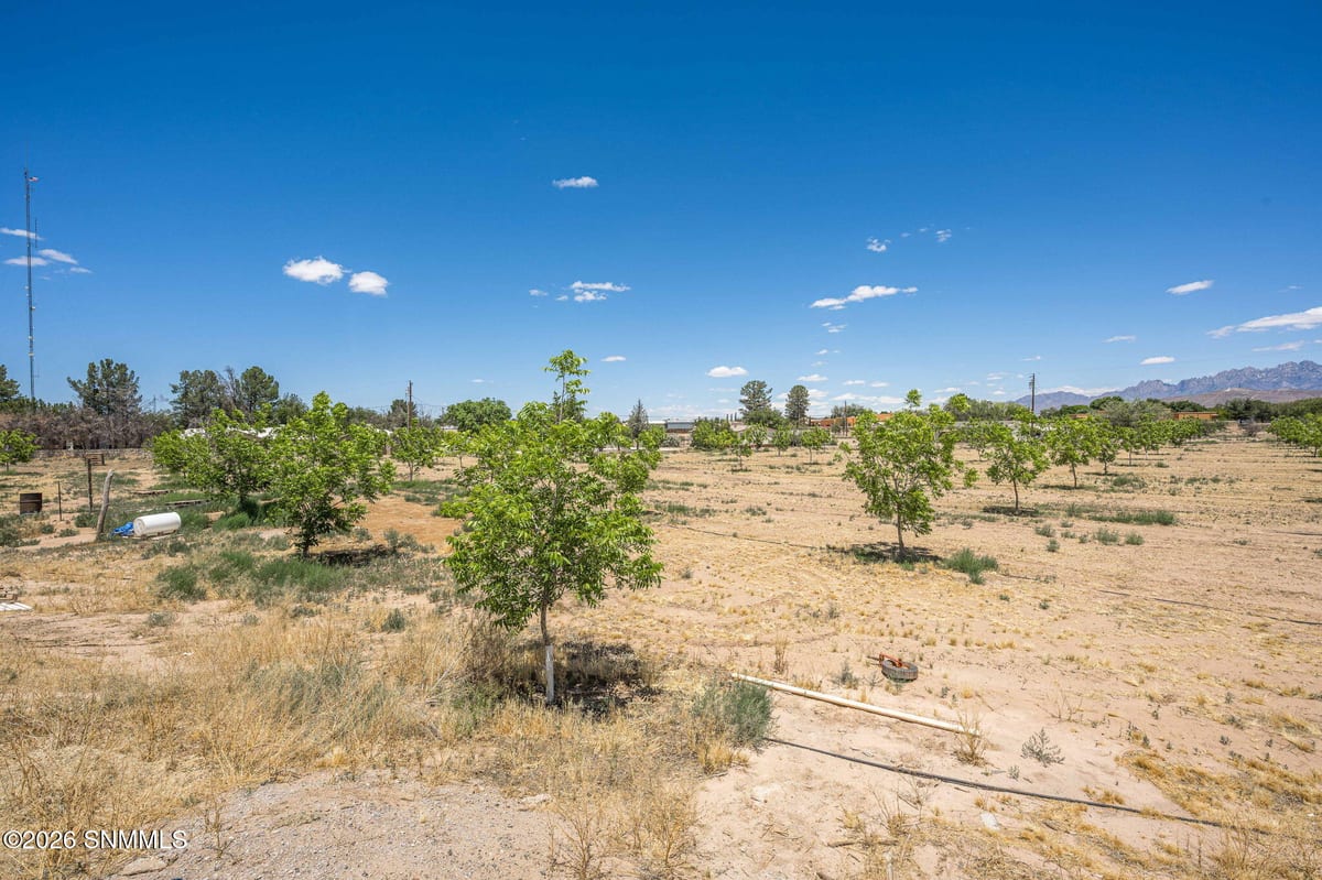 LOT 3 TBD Old River Road, Las Cruces, NM 88005, foto 12