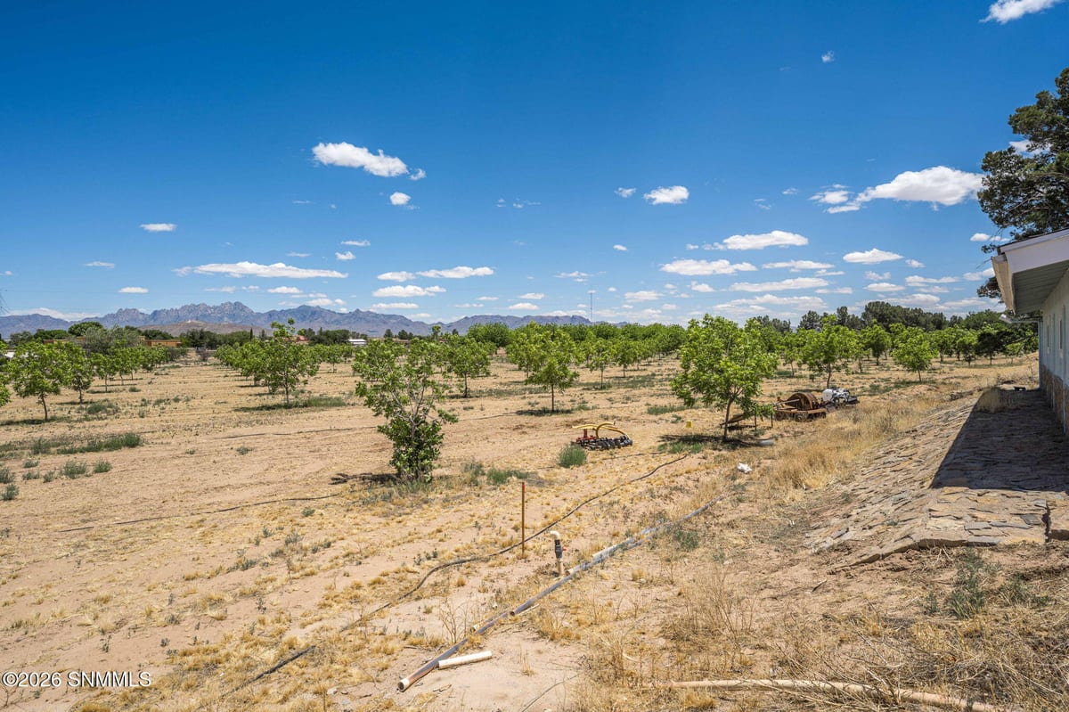 LOT 3 TBD Old River Road, Las Cruces, NM 88005, foto 13