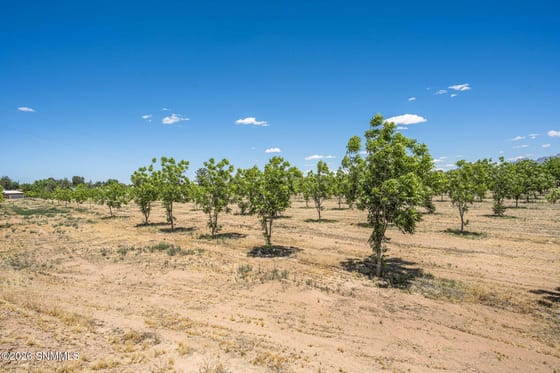 LOT 3 TBD Old River Road, Las Cruces, NM 88005 photo 4