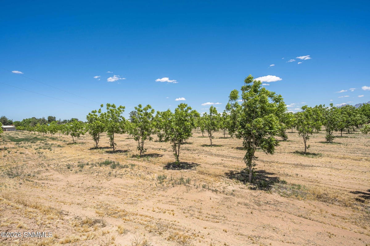 LOT 3 TBD Old River Road, Las Cruces, NM 88005, foto 4