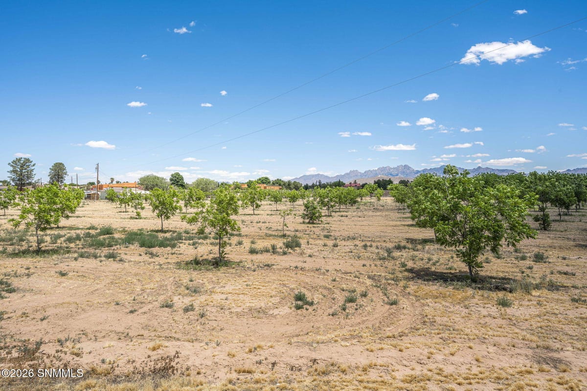 LOT 3 TBD Old River Road, Las Cruces, NM 88005, foto 10