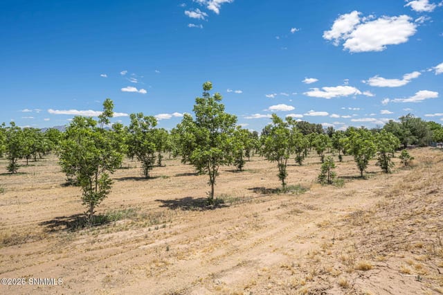 LOT 3 TBD Old River Road, Las Cruces, NM farm for sale at $420,000