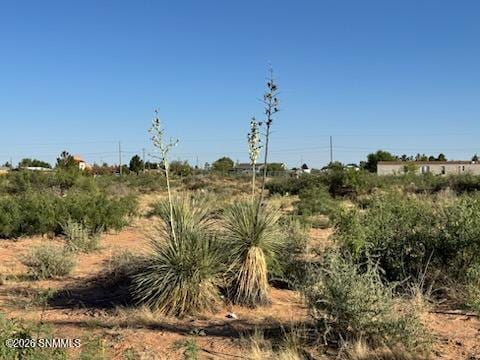 905 Oasis Drive, Chaparral, NM 88081, foto 4