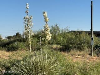 905 Oasis Drive, Chaparral, NM 88081, foto 5