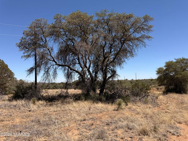 Block:7 Chisholm Estates, Silver City, NM 88061 photo 2