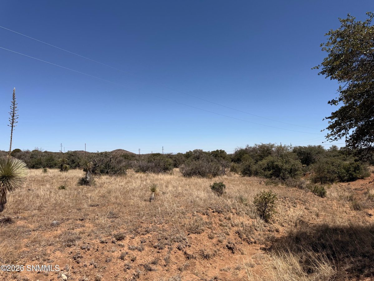 Block:7 Chisholm Estates, Silver City, NM 88061 photo 3