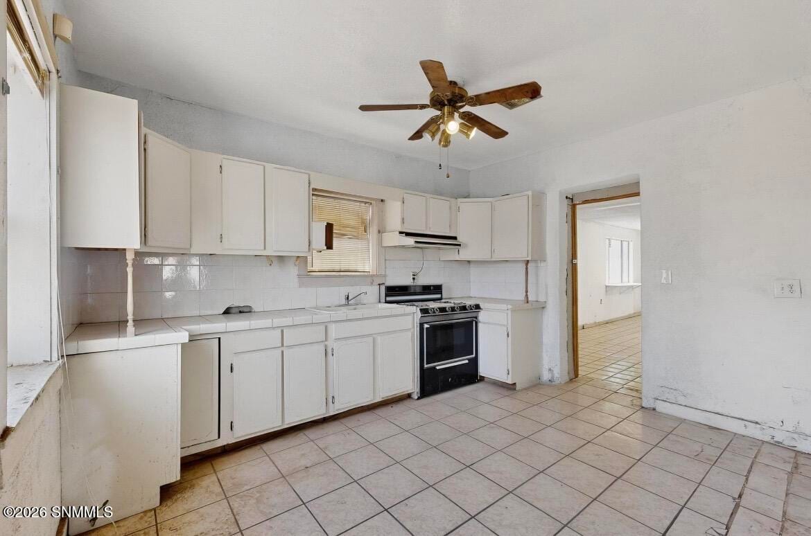 446 S San Pedro Street, Las Cruces, NM 88001 photo 7