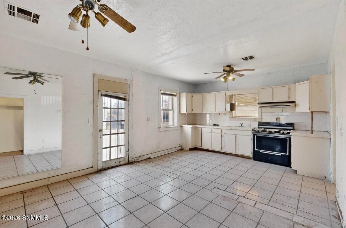 446 S San Pedro Street, Las Cruces, NM 88001 photo 8