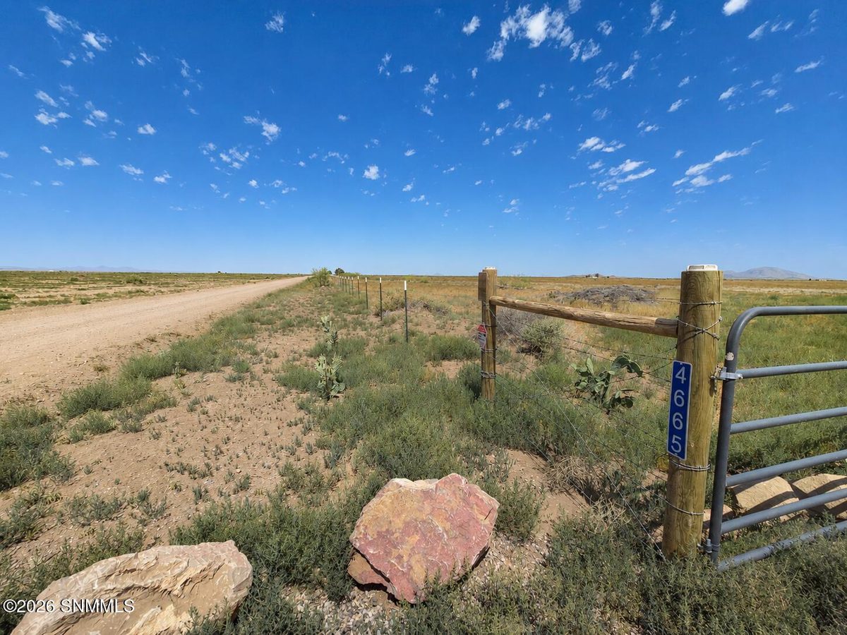 4665 Hondale Road SW, Deming, NM 88030, foto 7