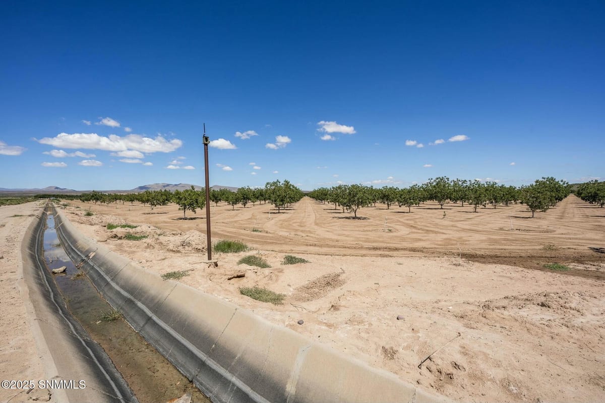 215 Red Hills Road, Hatch, NM 87937, foto 15