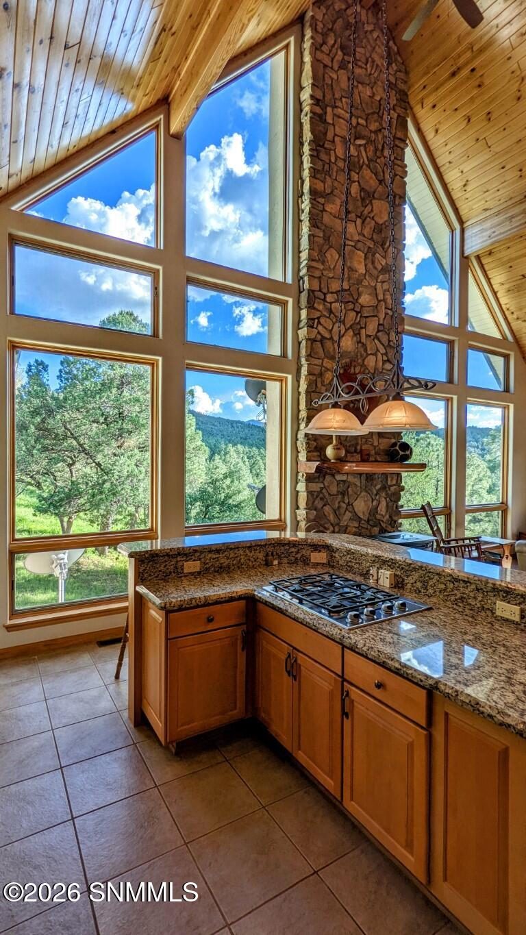 60 N Fork Walnut Creek Road, Silver City, NM 88061, foto 15