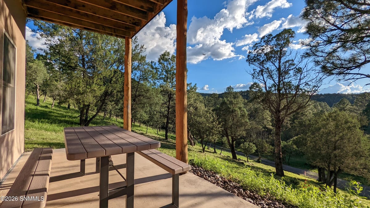 60 N Fork Walnut Creek Road, Silver City, NM 88061, foto 4