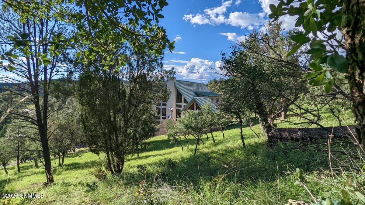 60 N Fork Walnut Creek Road, Silver City, NM 88061, foto 6