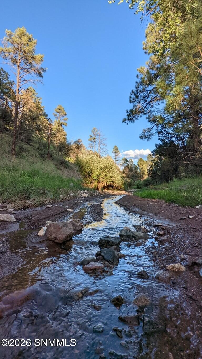 60 N Fork Walnut Creek Road, Silver City, NM 88061, foto 9