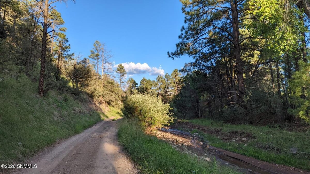 60 N Fork Walnut Creek Road, Silver City, NM 88061, foto 10