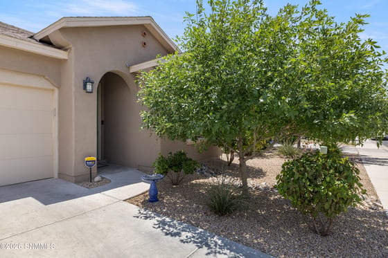 3866 San Marino Road, Las Cruces, NM 88012 photo 5