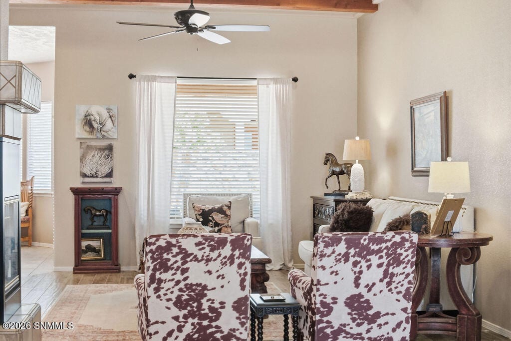 2462 Conchas Lane, Las Cruces, NM 88011 photo 5